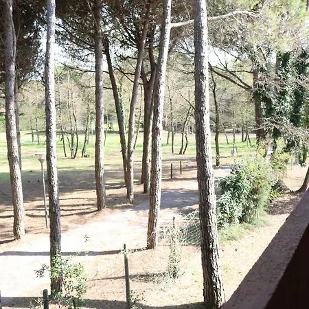 Clizia * Bibione